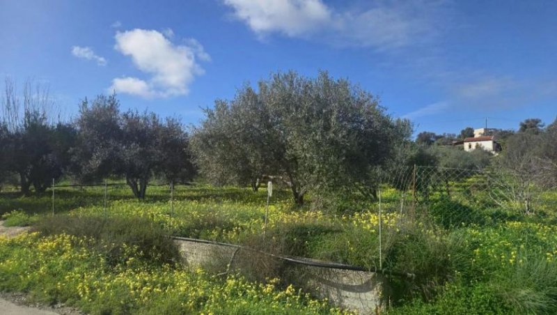 Sivas Ihr Zuhause im kretischen Bergidyll: 1.498 m² Bauland nahe Sivas Kern, Kreta Grundstück kaufen